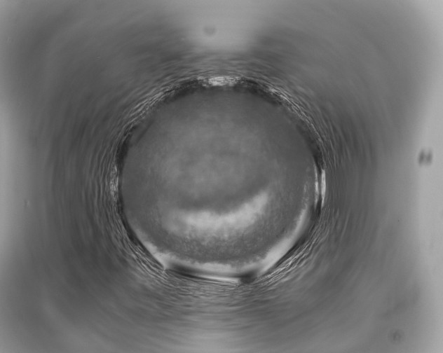 X0000091961443200709061252