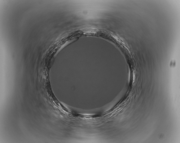 X0000091961445200709061252