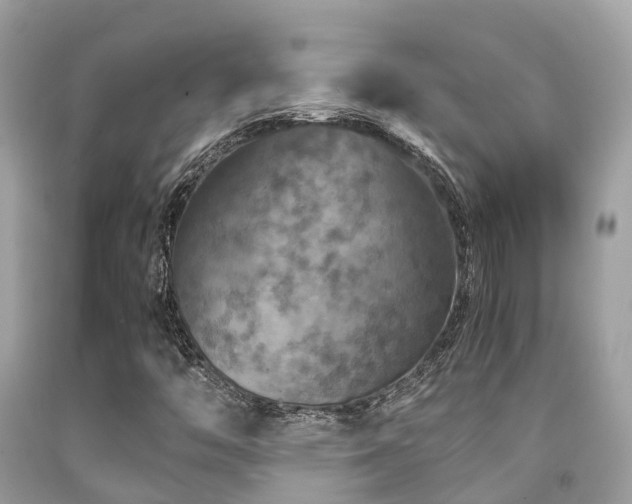 X0000091961446200709061252