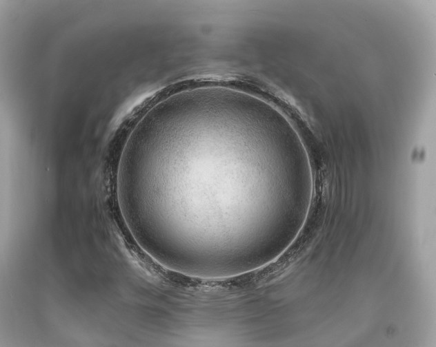 X0000091961448200709061252