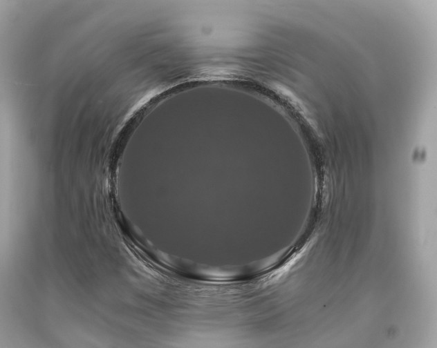 X0000091961449200709061252