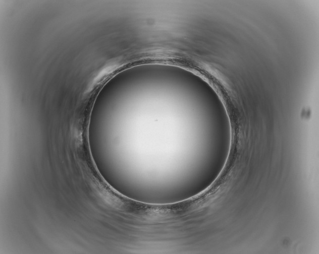 X0000091961451200709061252