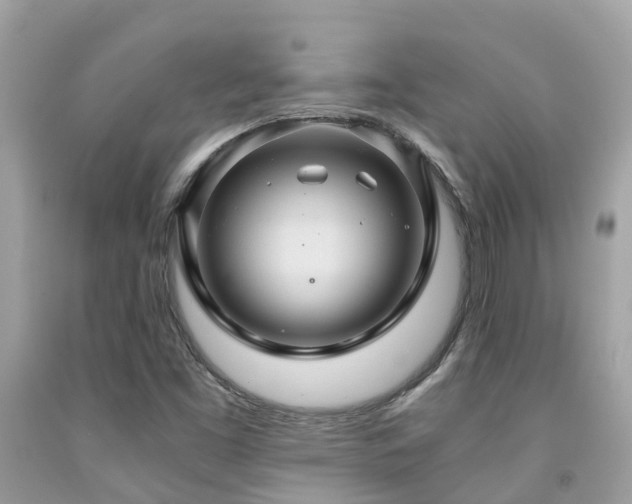 X0000091961453200709061252