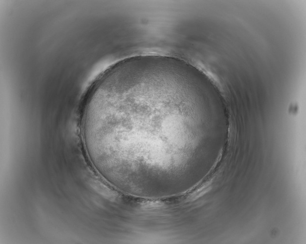 X0000091961454200709061252