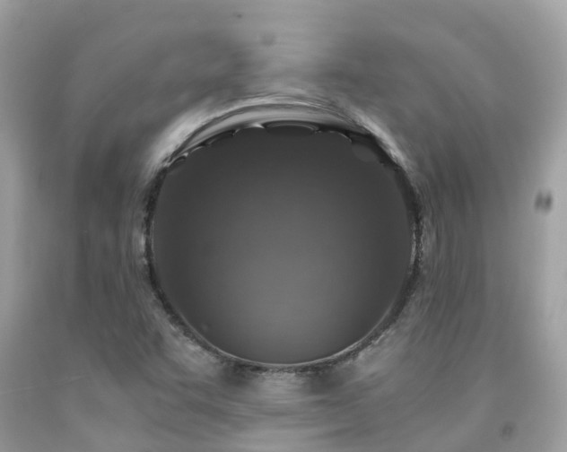 X0000091961455200709061252