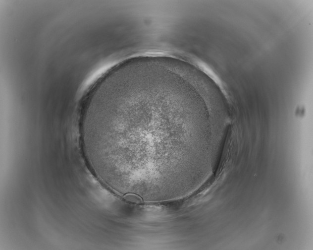 X0000091961456200709061251