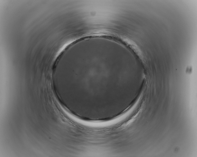 X0000091961457200709061251