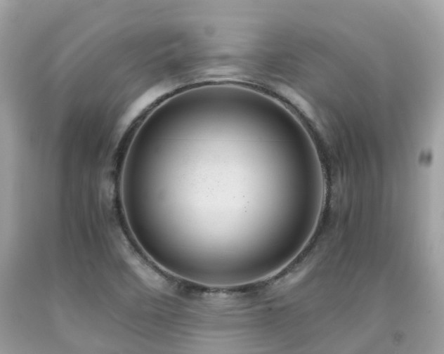 X0000091961458200709061251