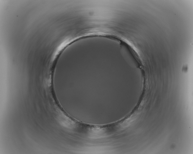 X0000091961459200709061251