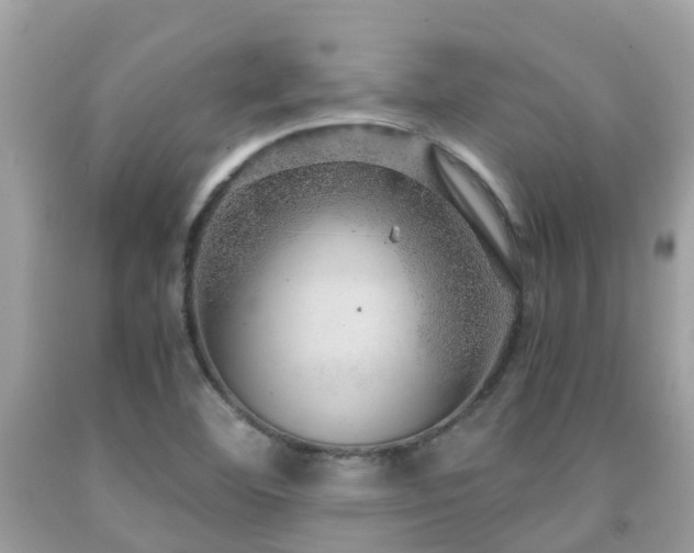 X0000091961460200709061251