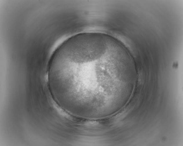 X0000091961462200709061251