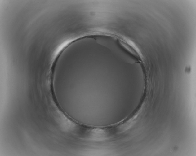 X0000091961463200709061251