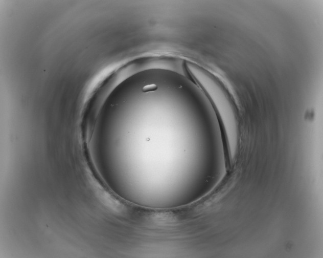 X0000091961464200709061251