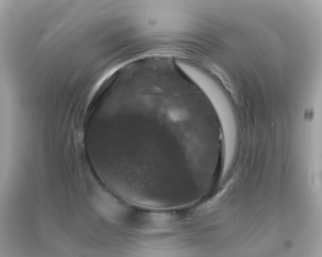 X0000091961465200709061251