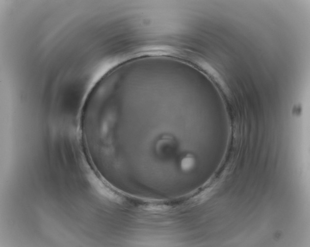 X0000091961466200709061251