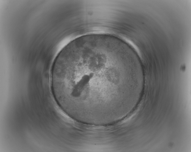 X0000091961467200709061251