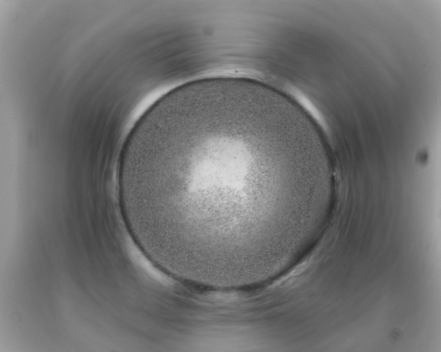 X0000091961468200709061251