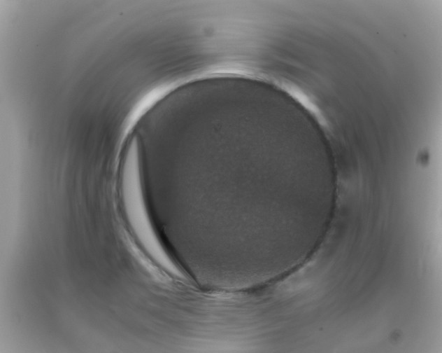 X0000091961469200709061251