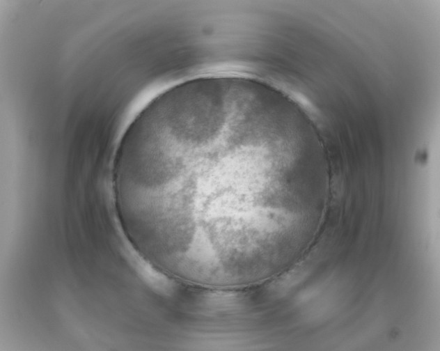 X0000091961470200709061251