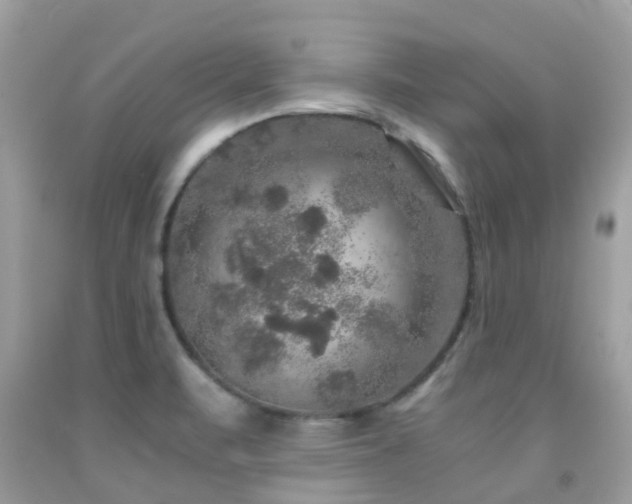 X0000091961471200709061251