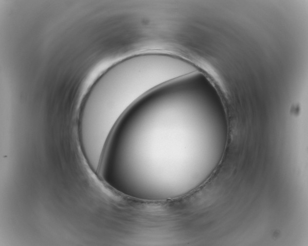 X0000091961472200709061251