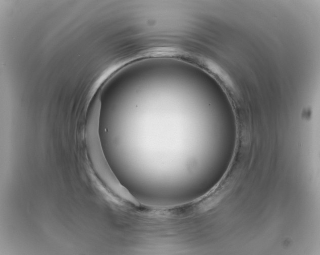 X0000091961473200709061251