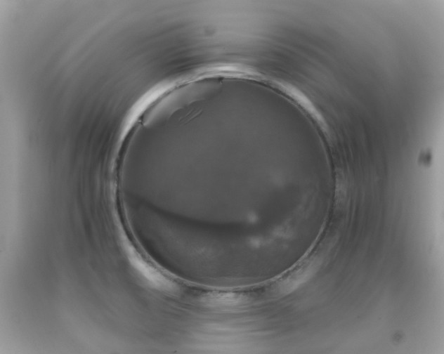 X0000091961474200709061251