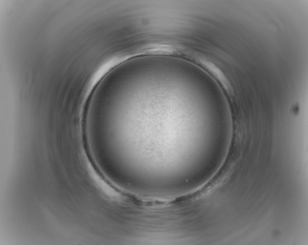 X0000091961475200709061251