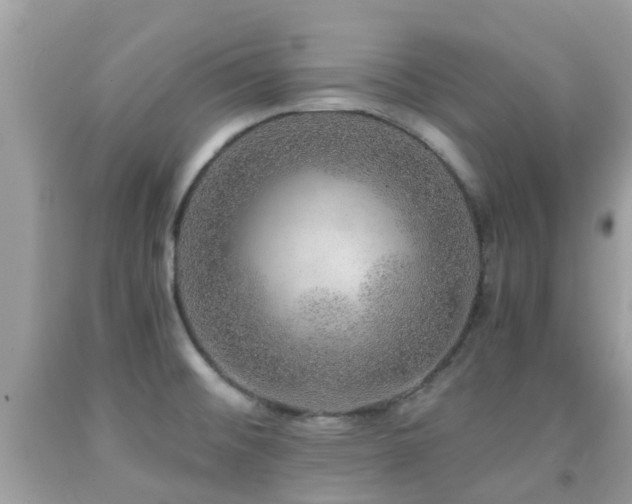 X0000091961476200709061251