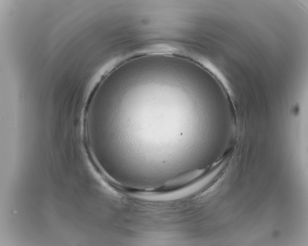 X0000091961477200709061251