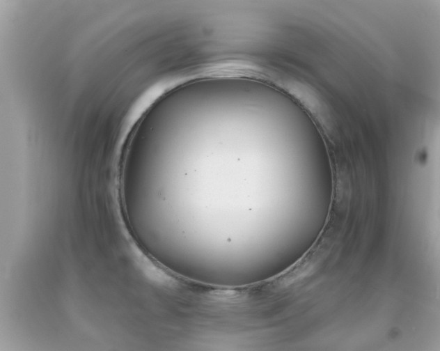 X0000091961478200709061251