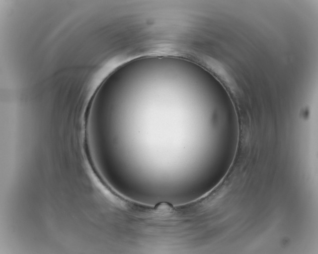 X0000091961479200709061251