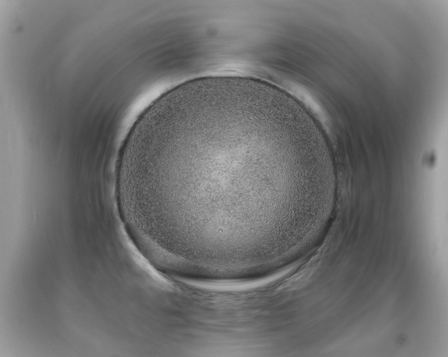 X0000091961480200709061251