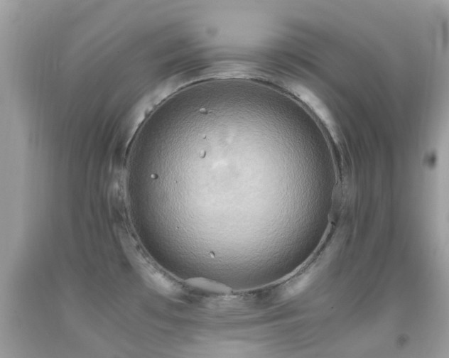 X0000091961481200709061251