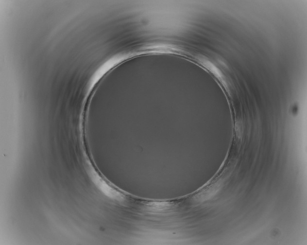 X0000091961482200709061251