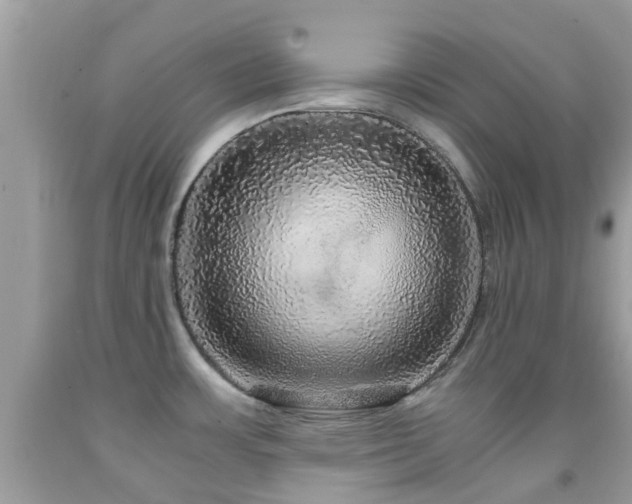 X0000091961483200709061251