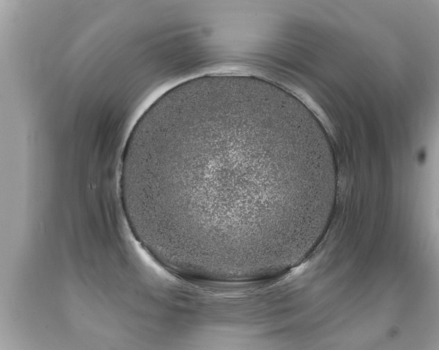 X0000091961484200709061251
