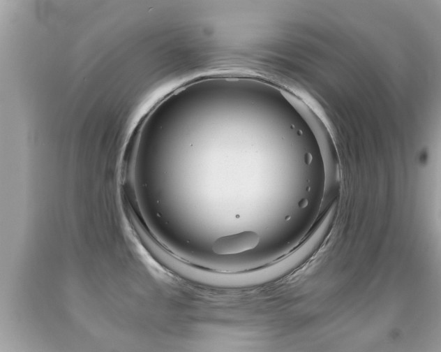 X0000091961485200709061251