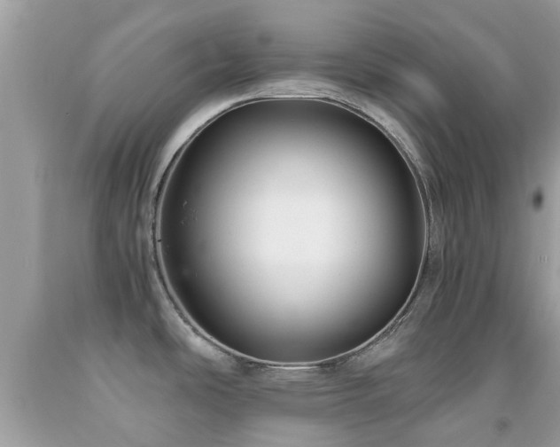 X0000091961486200709061251