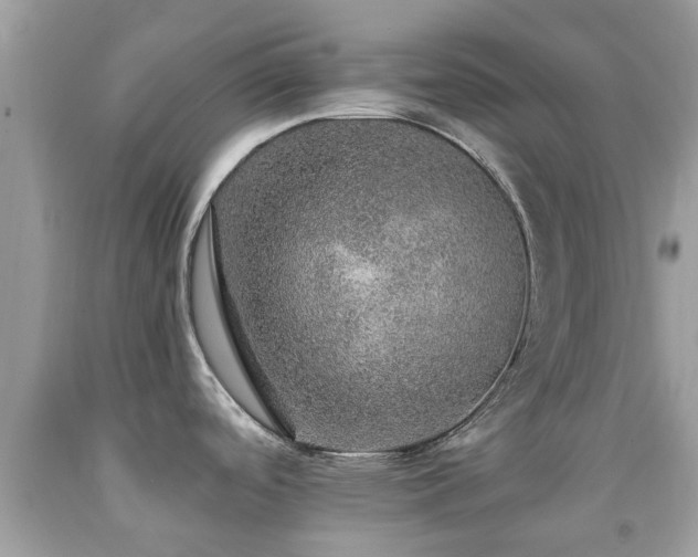 X0000091961488200709061251