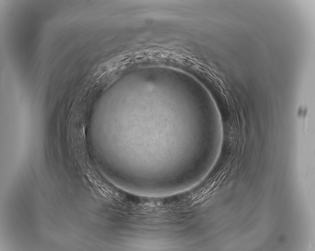 X0000091961489200709061250