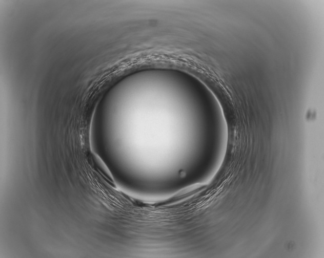 X0000091961490200709061250