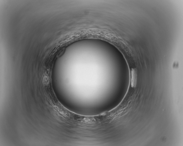 X0000091961491200709061250