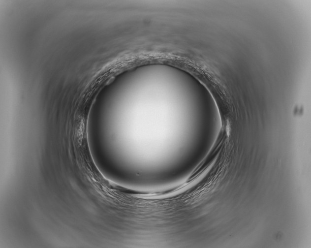 X0000091961492200709061250