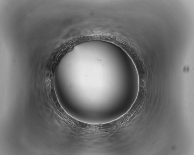 X0000091961493200709061250