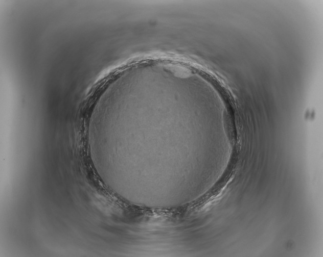 X0000091961494200709061250