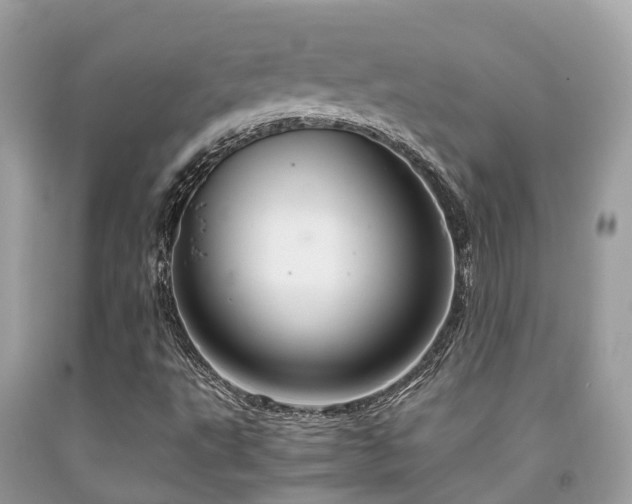 X0000091961495200709061250