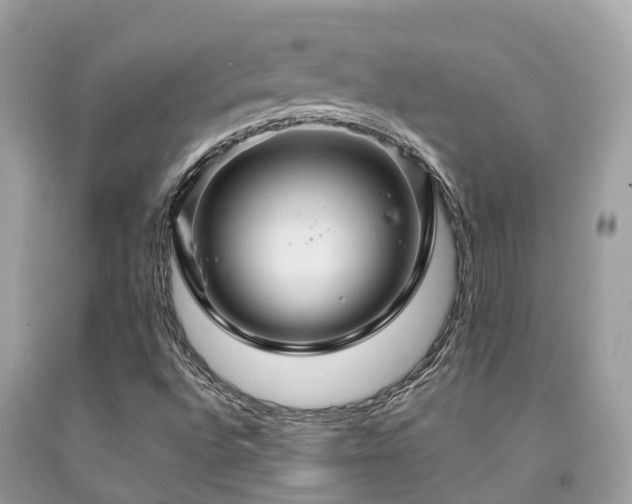 X0000091961496200709061250