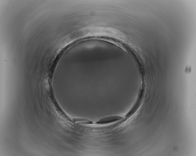 X0000091961497200709061250