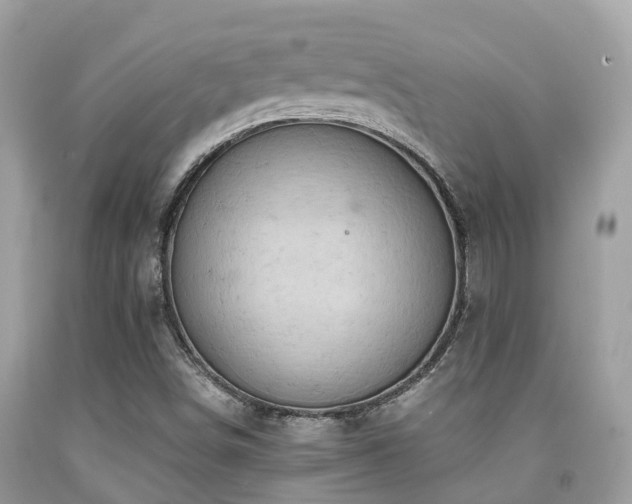 X0000091961498200709061250